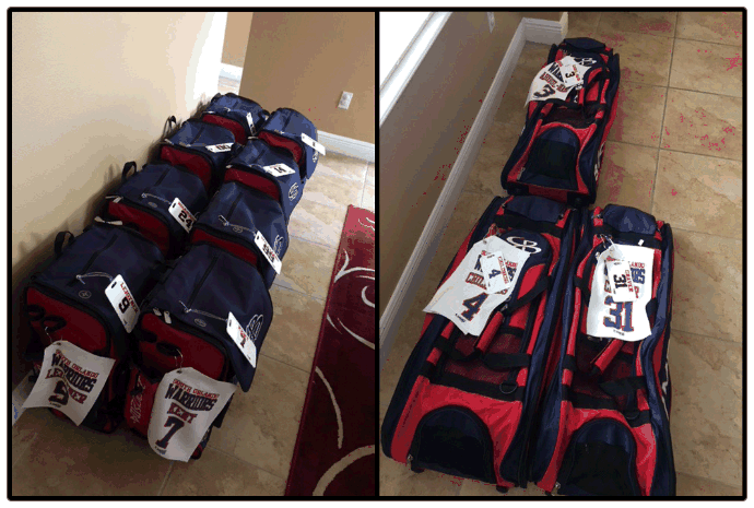 bag tags bat bag tags sport tags player tags baseball tags